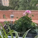 Krzywe Kolo 14-16-18 M7 * Varsó